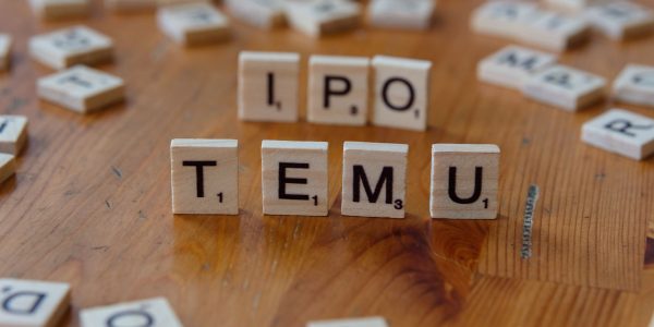 NSE IPO details