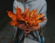 autumn capsule collections