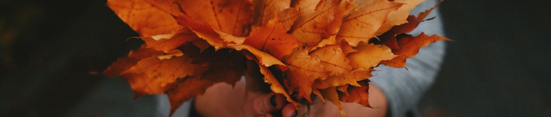 autumn capsule collections