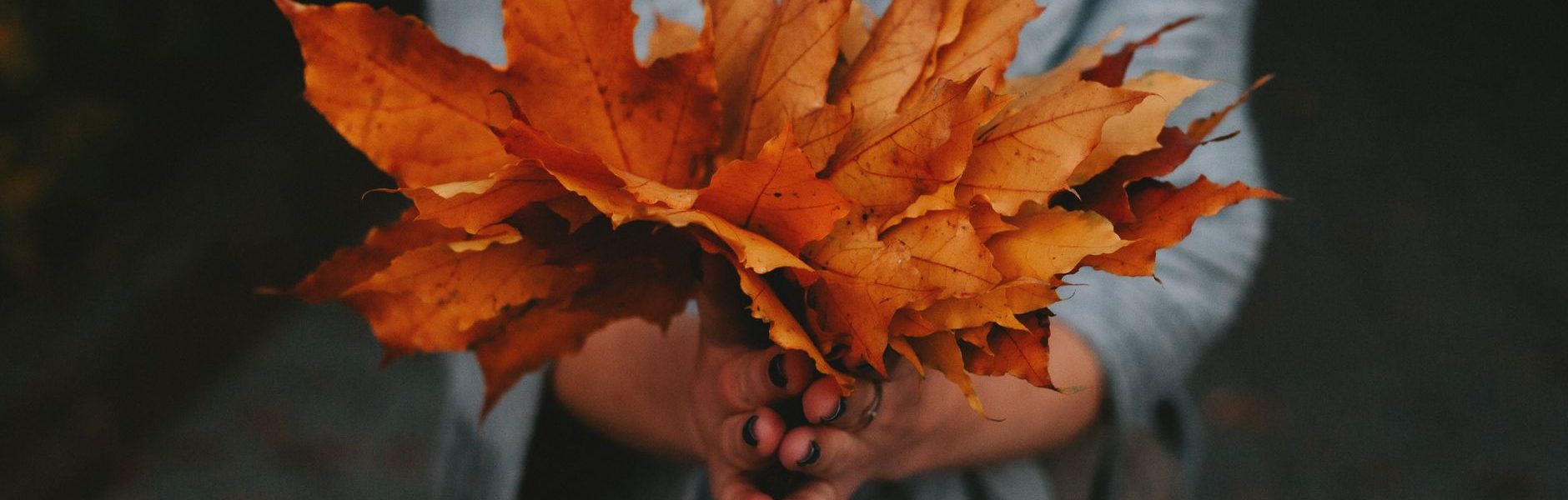 autumn capsule collections