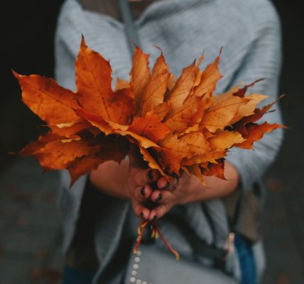 autumn capsule collections