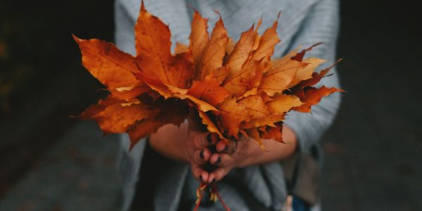 autumn capsule collections