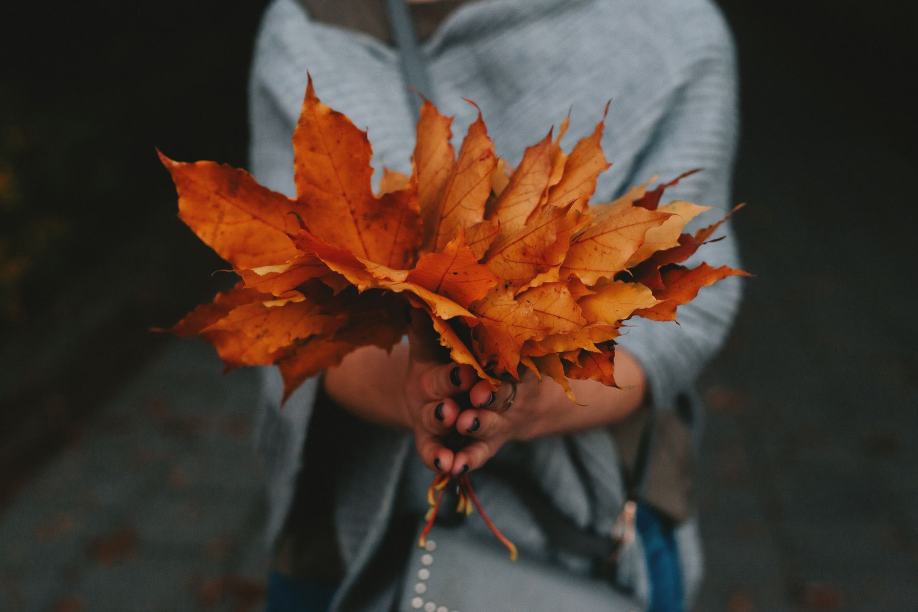 autumn capsule collections